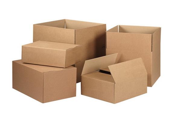 Hộp giấy carton