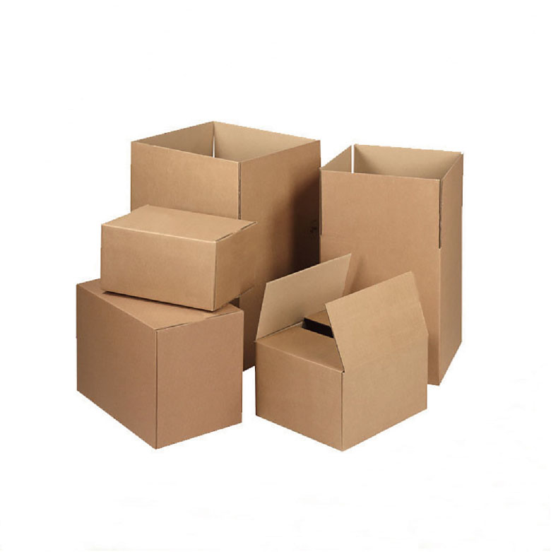 Hộp giấy Carton