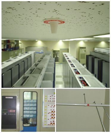 KT Yongin Kooksa