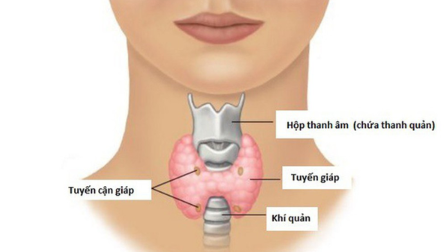 HẠ CAN XI MÁU SAU MỔ TUYẾN GIÁP