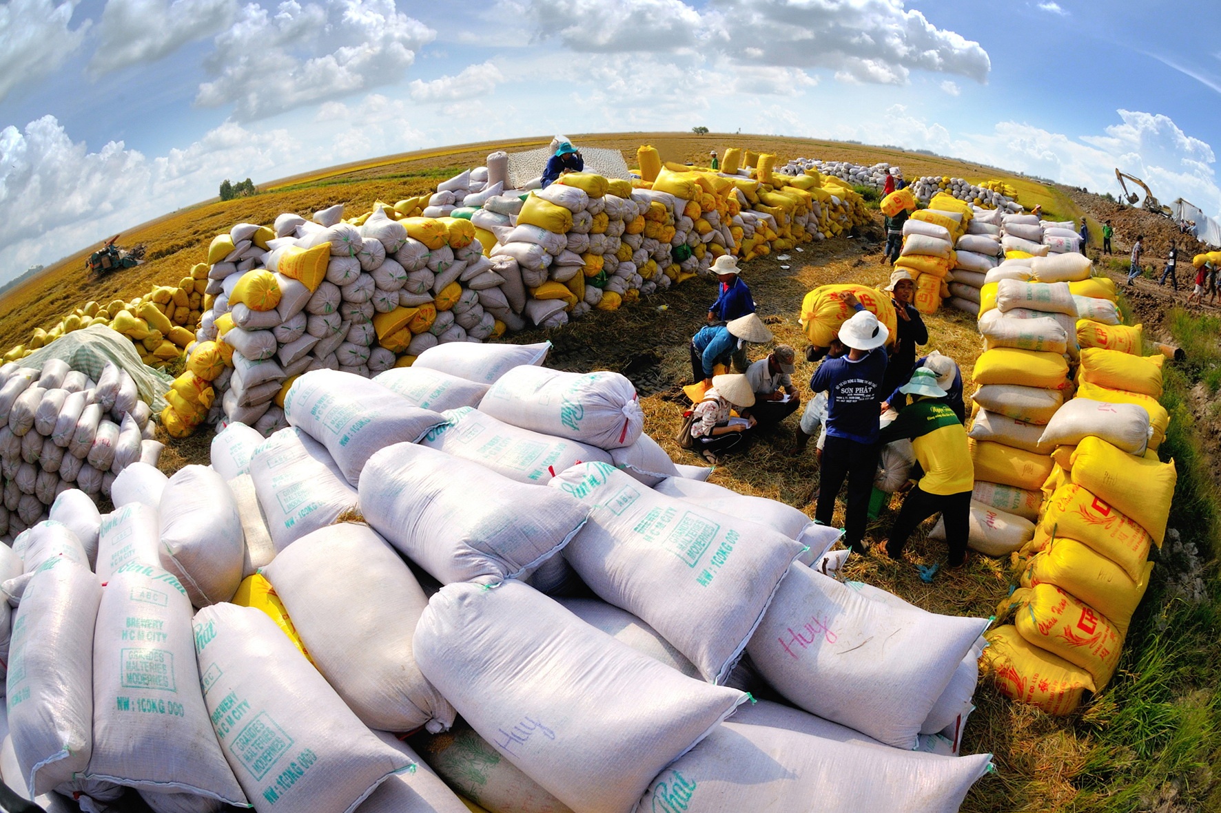 Vietnam boosts food supply to the world