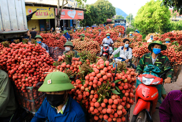 Export of agricultural products reached nearly 28 billion USD in 6 months