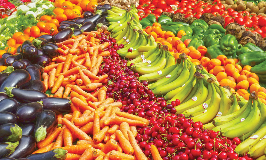 Agricultural Product Export Process