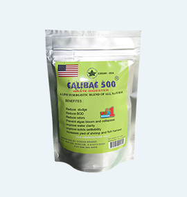 CALIBAC 500