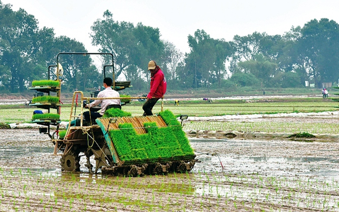 Tại sao chọn Việt Nam mở rộng trình độ cơ giới hóa, hiện đại hóa nông nghiệp