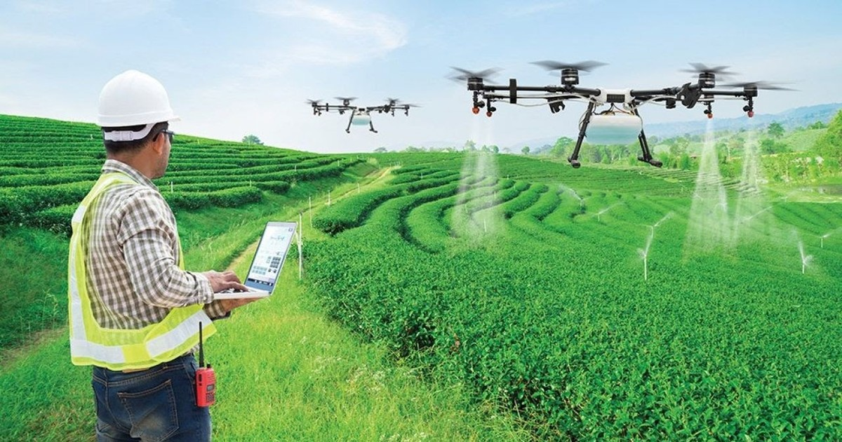 Đẩy mạnh ứng dụng khoa học công nghệ vào sản xuất nông nghiệp