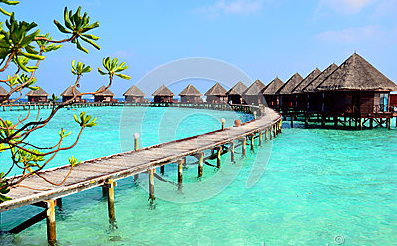 Khu nghỉ mát ở Maldives. Ms 39496714