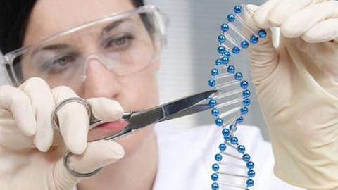 Genetic error check - Thaistermlife
