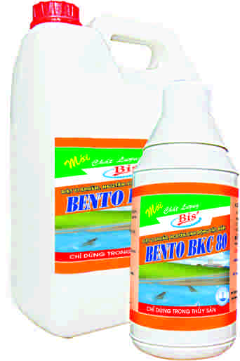 BENTO BKC 80
