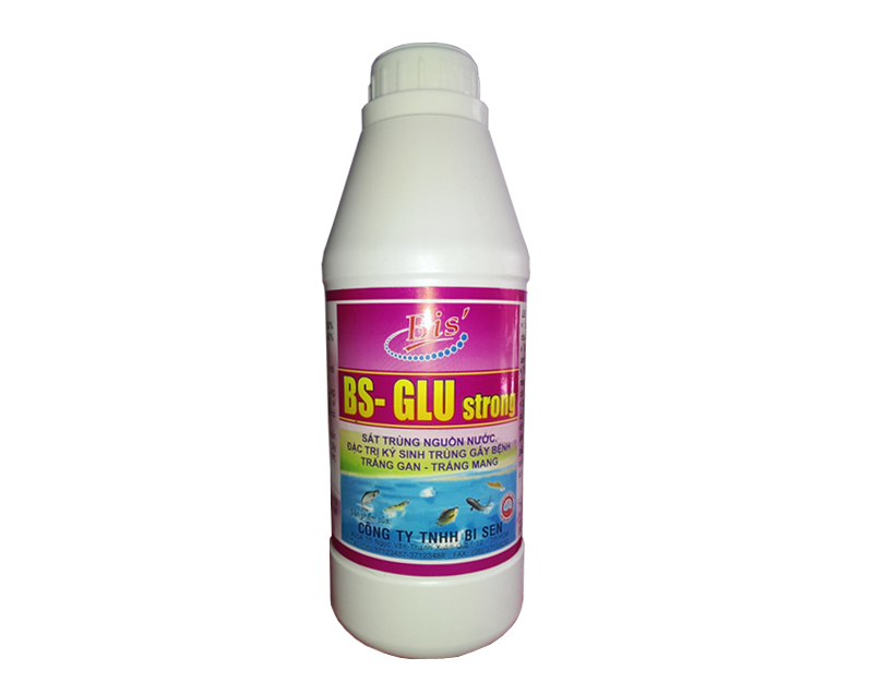 BS - GLU STRONG