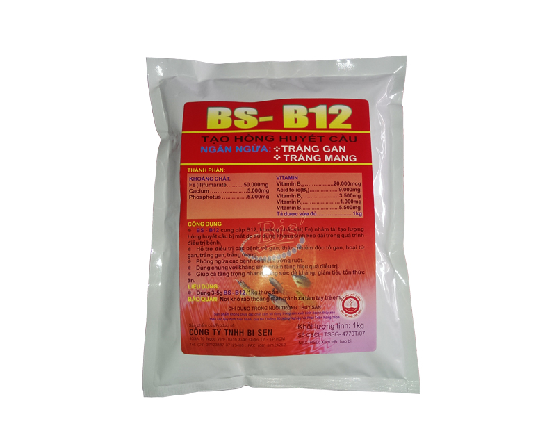 BIS – B12