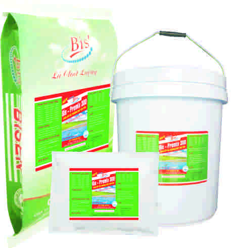 BIS - PREMIX 300