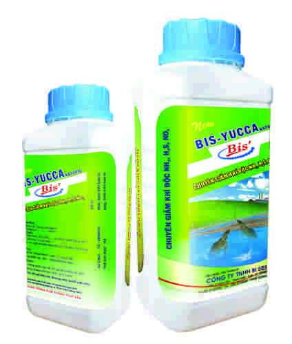 BIS - YUCCA Natural