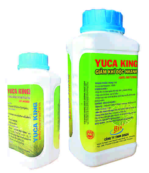YUCA KING