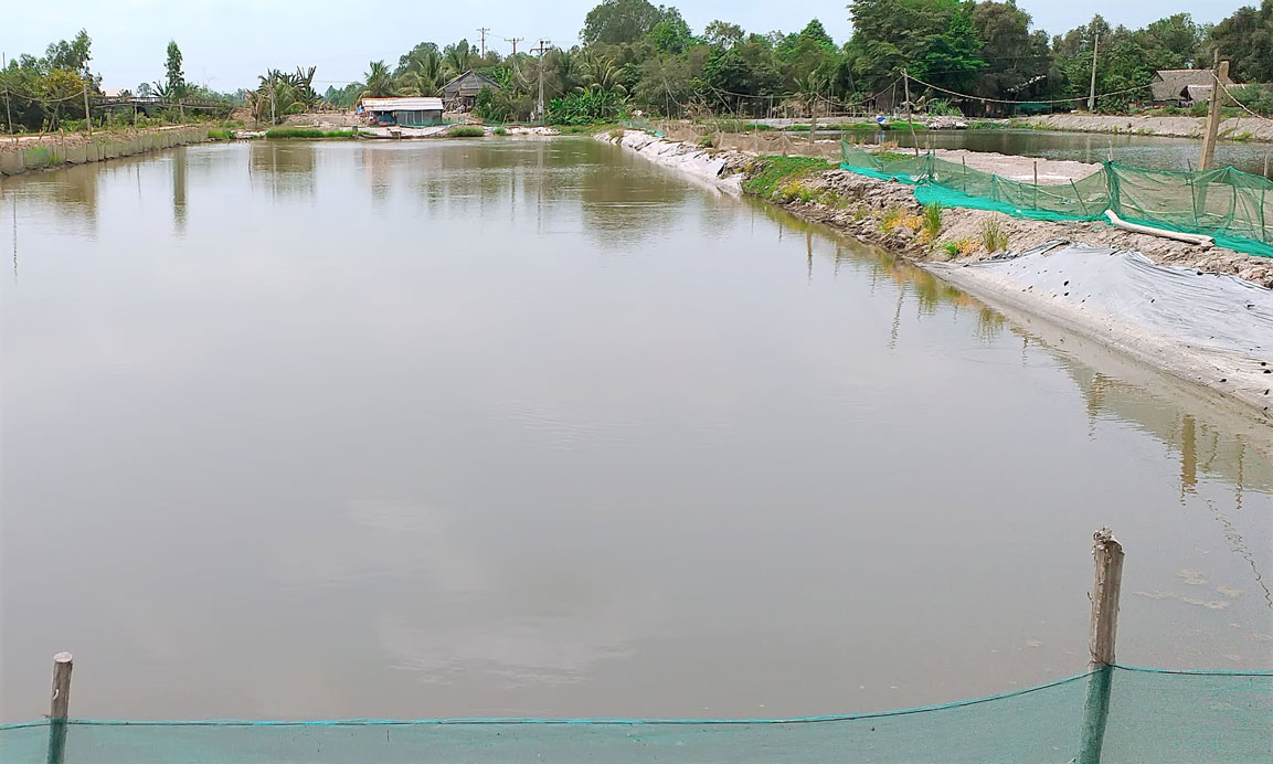 Hình ảnh vùng nuôi trồng cá tra 