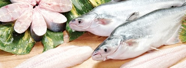 Sản phẩm chất lượng đạt chuẩn xuất khẩu