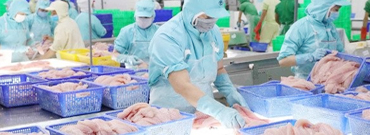 Hệ thống quy trình sản xuất khép kín