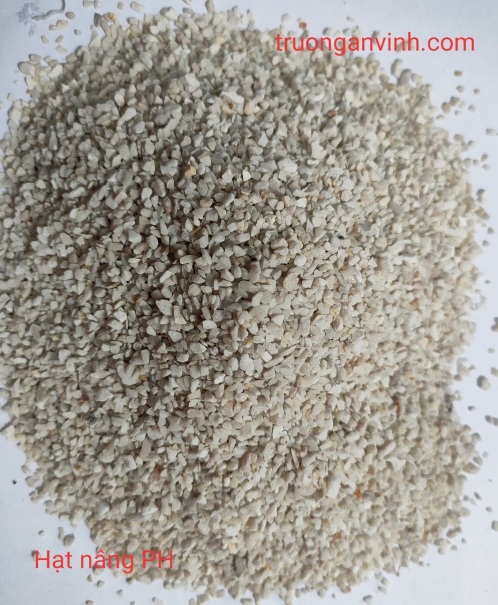 Hạt nâng PH