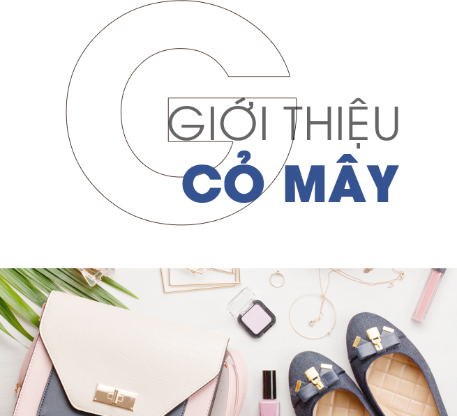 Giới thiệu về CỎ MÂY
