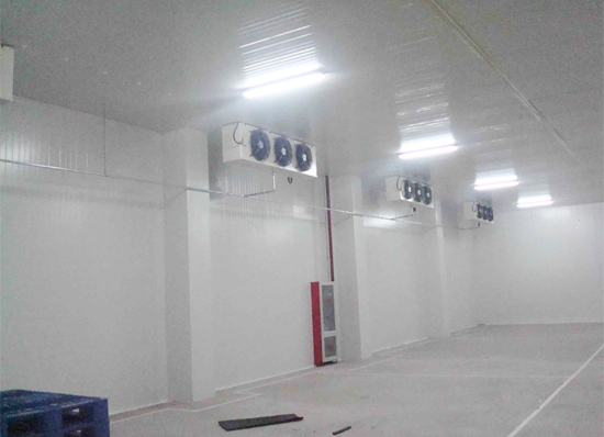 THIẾT KẾ - THI CÔNG - TƯ VẤN GIẢI PHÁP KHO LẠNH