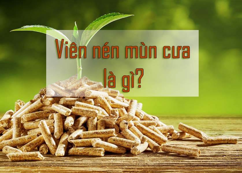 Viên Nén Mùn Cưa Là Gì?