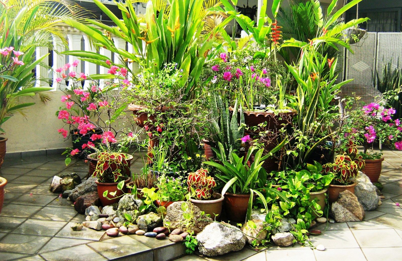 Tiểu cảnh nội thất