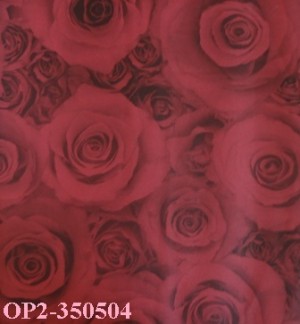 Giấy Dán Tường Đài Loan OPERA-350504
