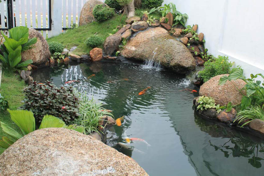 tiểu cảnh ngoại thất