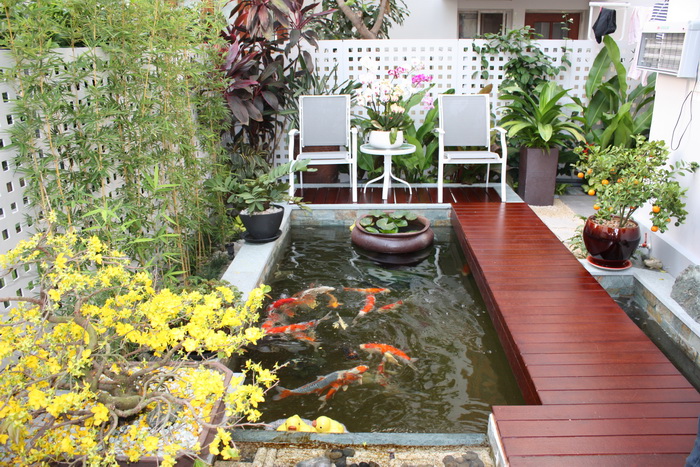 tiểu cảnh ngoại thất