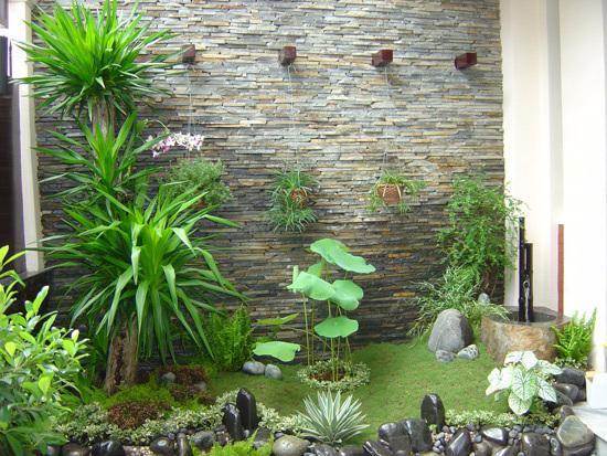 Tiểu cảnh nội thất