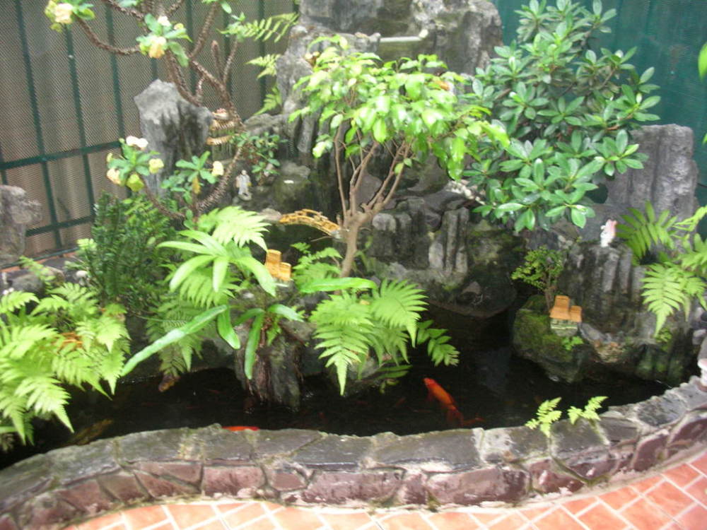 tiểu cảnh ngoại thất