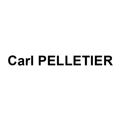 Carl PELLETIER, Webdesign