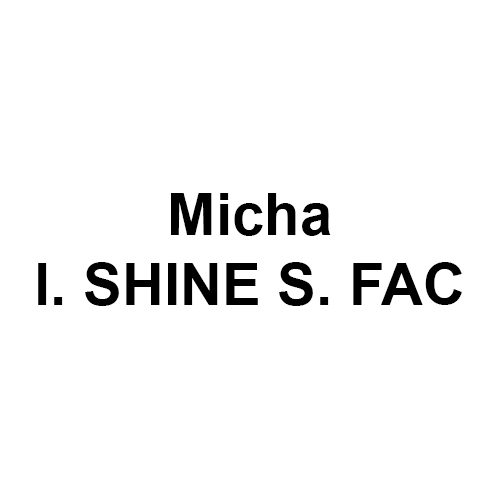 Micha l. SHINE S. FAC, Perspectiviste