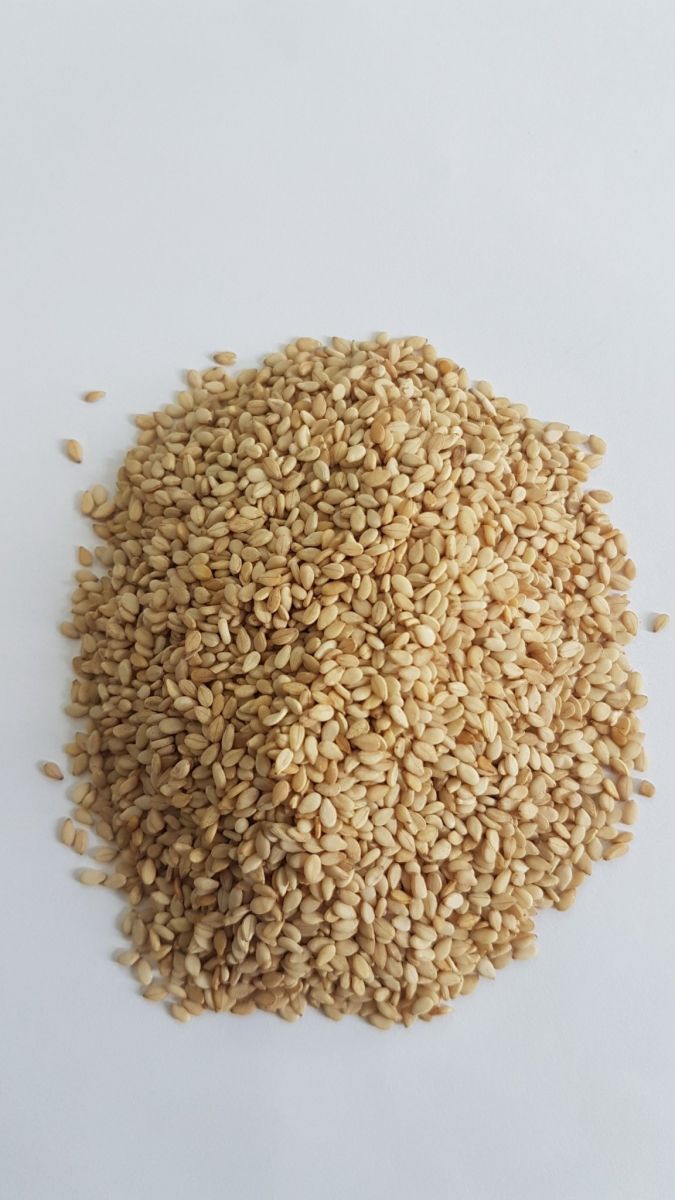 Hạt Vừng Trắng