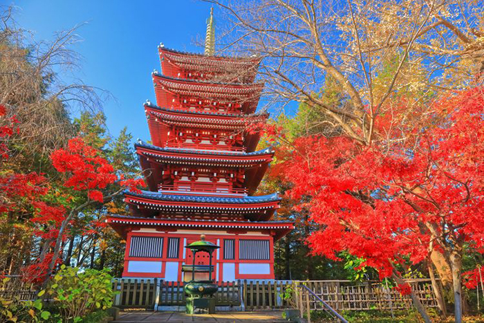DU LỊCH MÙA LÁ ĐỎ NHẬT BẢN - KHÁM PHÁ CUNG ĐƯỜNG MÙA THU VÀNG OSAKA - KYOTO - NAGOYA - FUJI - TOKYO (5N5D) THÁNG 10