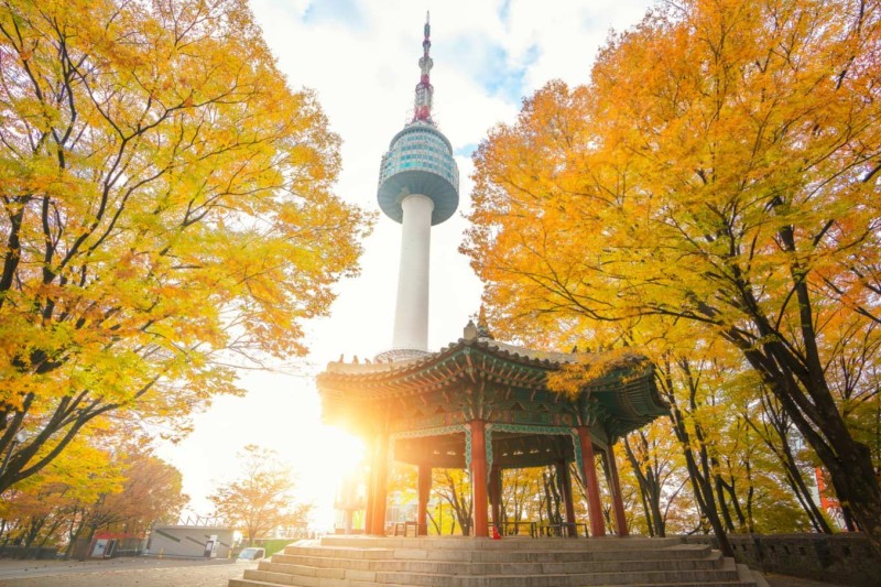 HCM - SEOUL - NAMI – EVER LAND 5N4Đ - MÙA THU LÁ ĐỎ