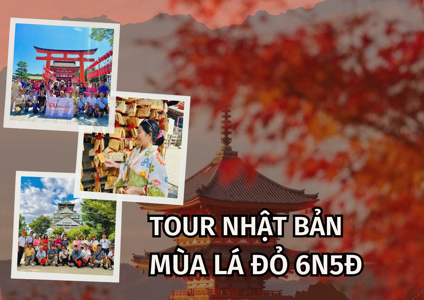 DU LỊCH MÙA LÁ ĐỎ NHẬT BẢN: SÀI GÒN - OSAKA – KYOTO - NAGOYA – FUJI - TOKYO 5N5Đ - THÁNG 11