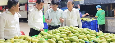 GIÁM ĐỊNH NÔNG SẢN THỰC PHẨM