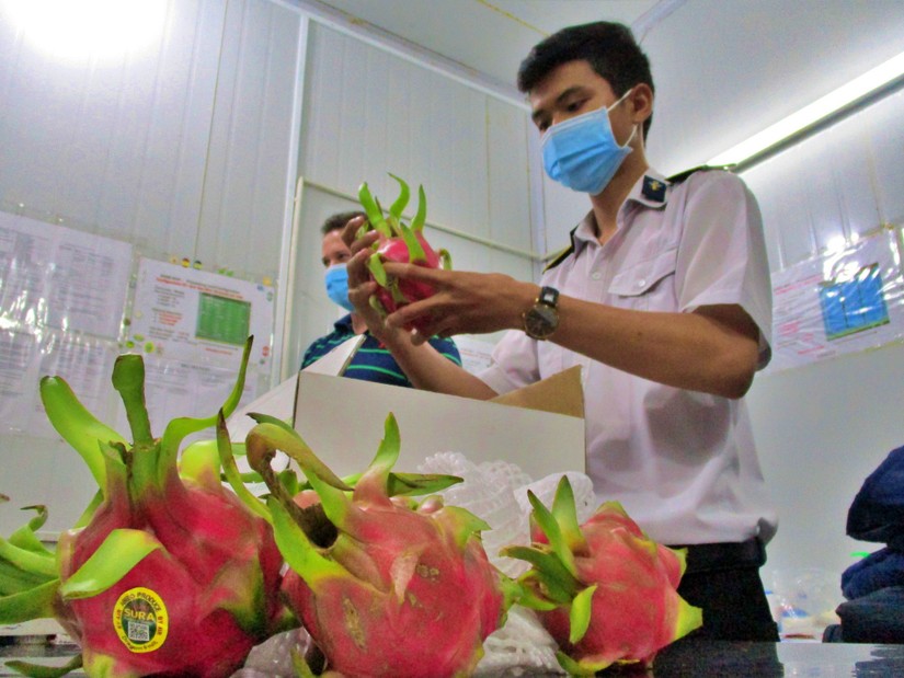 Hình ảnh giám định hàng hóa cho cty An Nhơn, Quận 9, TP.HCM