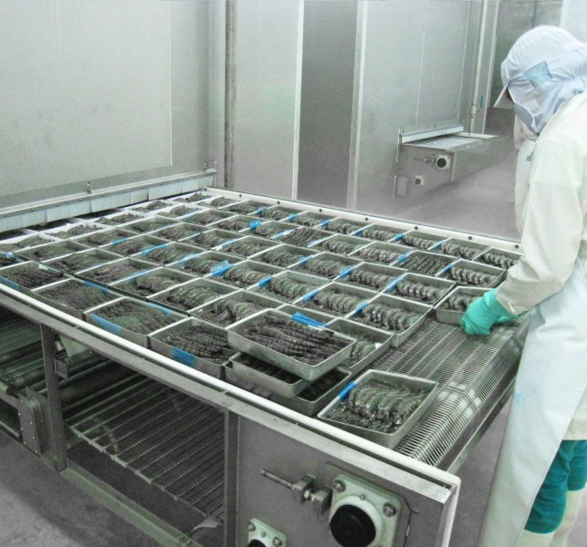  Giải pháp băng chuyền cấp đông