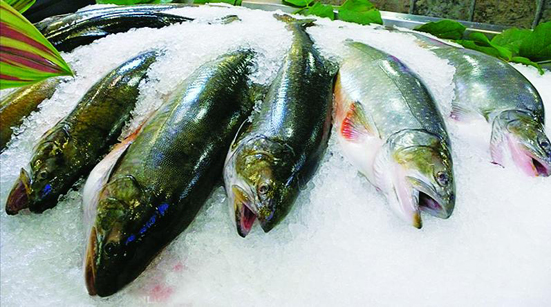 KHO LẠNH BẢO QUẢN THỦY SẢN