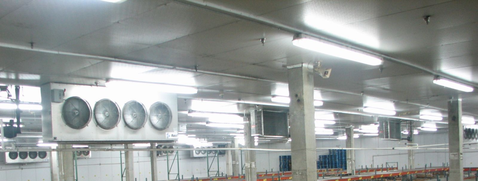 Ngành Lạnh công nghiệp của Việt Nam đang chịu áp lực cạnh tranh từ các đơn vị nước ngoài về mặt công nghệ và giá cả. 
