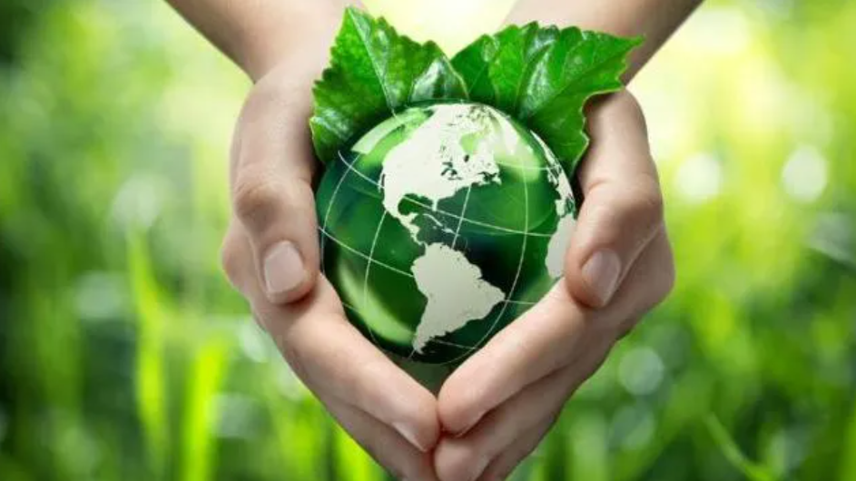 Grandmex Proudly Continues to Achieve GRS and SRCCS Certifications: A Testament to Our Ongoing Commitment to Sustainable Garment Production