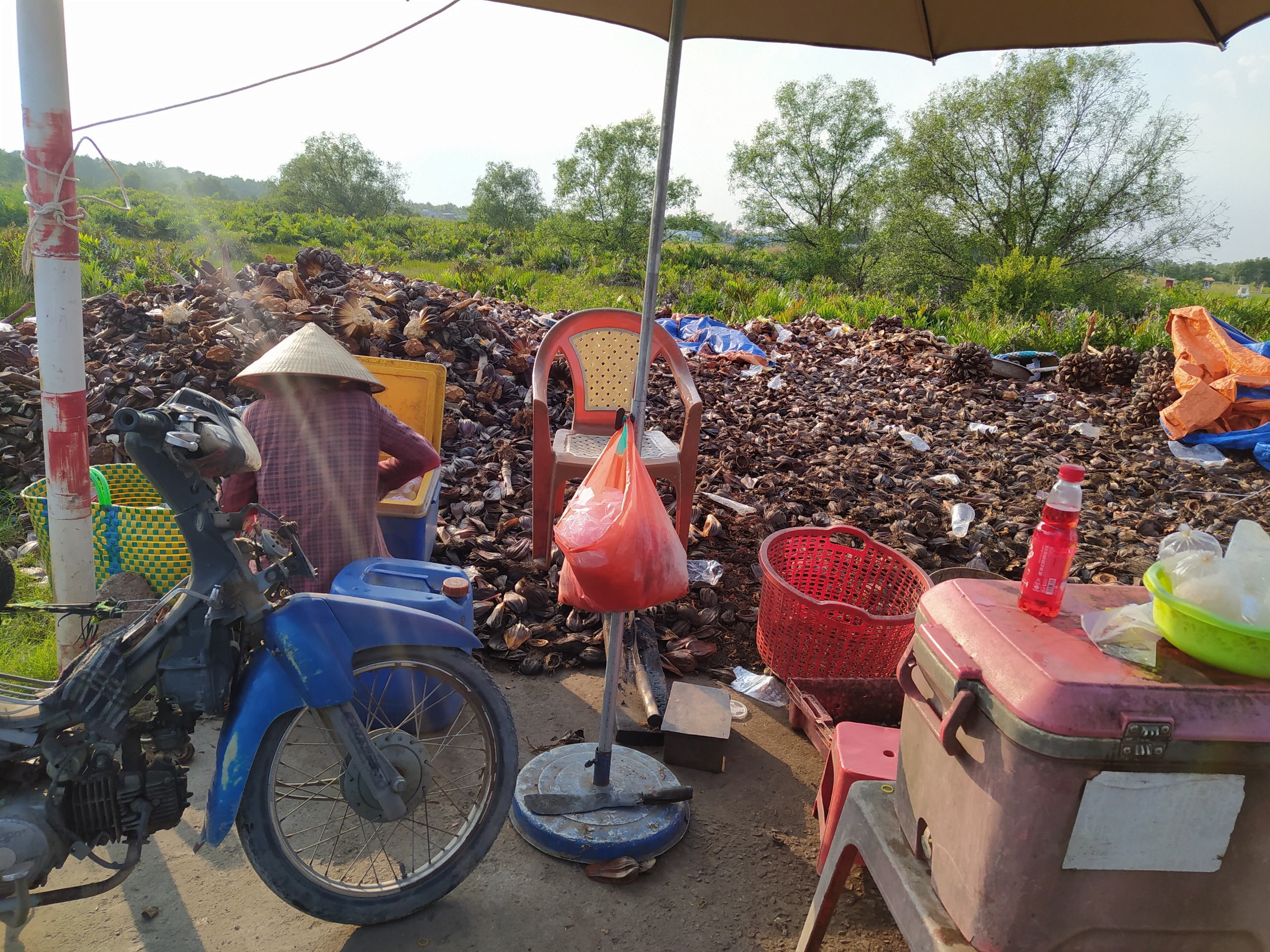 Chị Ngọc - CMT8, Quận 3