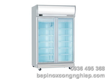 Tủ lạnh 2 cánh kính