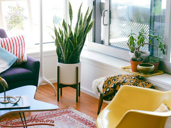 6 simple ways to help an old room become new and beautiful