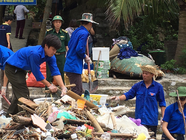 Hải Phòng: Hàng trăm cây xanh được mang trồng trên đảo đá Tai Mèo – Long Châu  - copy