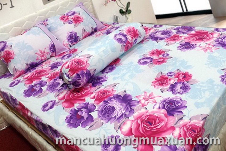 Drap bọc MT 02