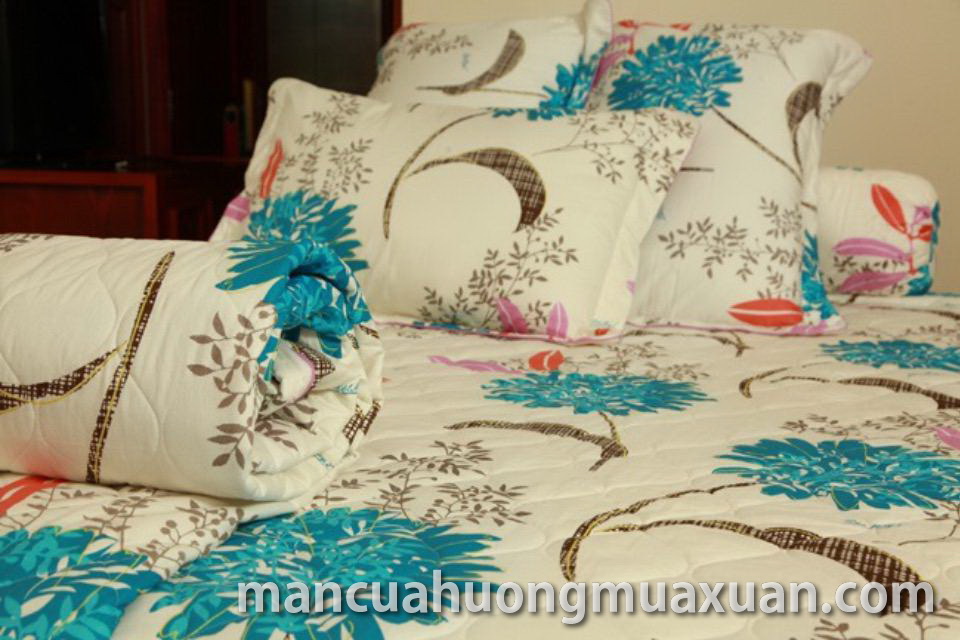 Drap bọc MT 