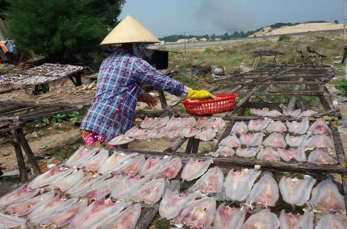 Bà Rịa-Vũng Tàu phát hiện chất cấm trong cá khô ở chợ đầu mối